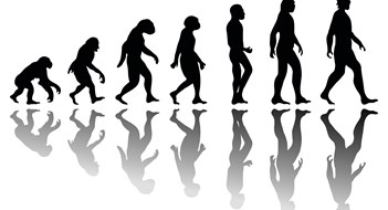 Man evolution. Silhouette progress growth development. Neanderthal and monkey, homo-sapiens or hominid, primate or ape with weapon spear or stick or stone