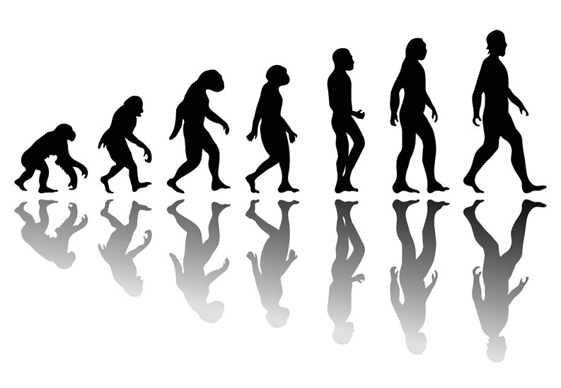 Man evolution. Silhouette progress growth development. Neanderthal and monkey, homo-sapiens or hominid, primate or ape with weapon spear or stick or stone