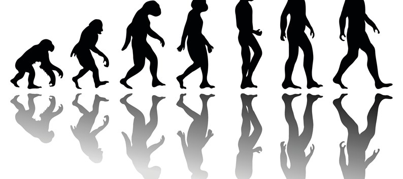 Man evolution. Silhouette progress growth development. Neanderthal and monkey, homo-sapiens or hominid, primate or ape with weapon spear or stick or stone
