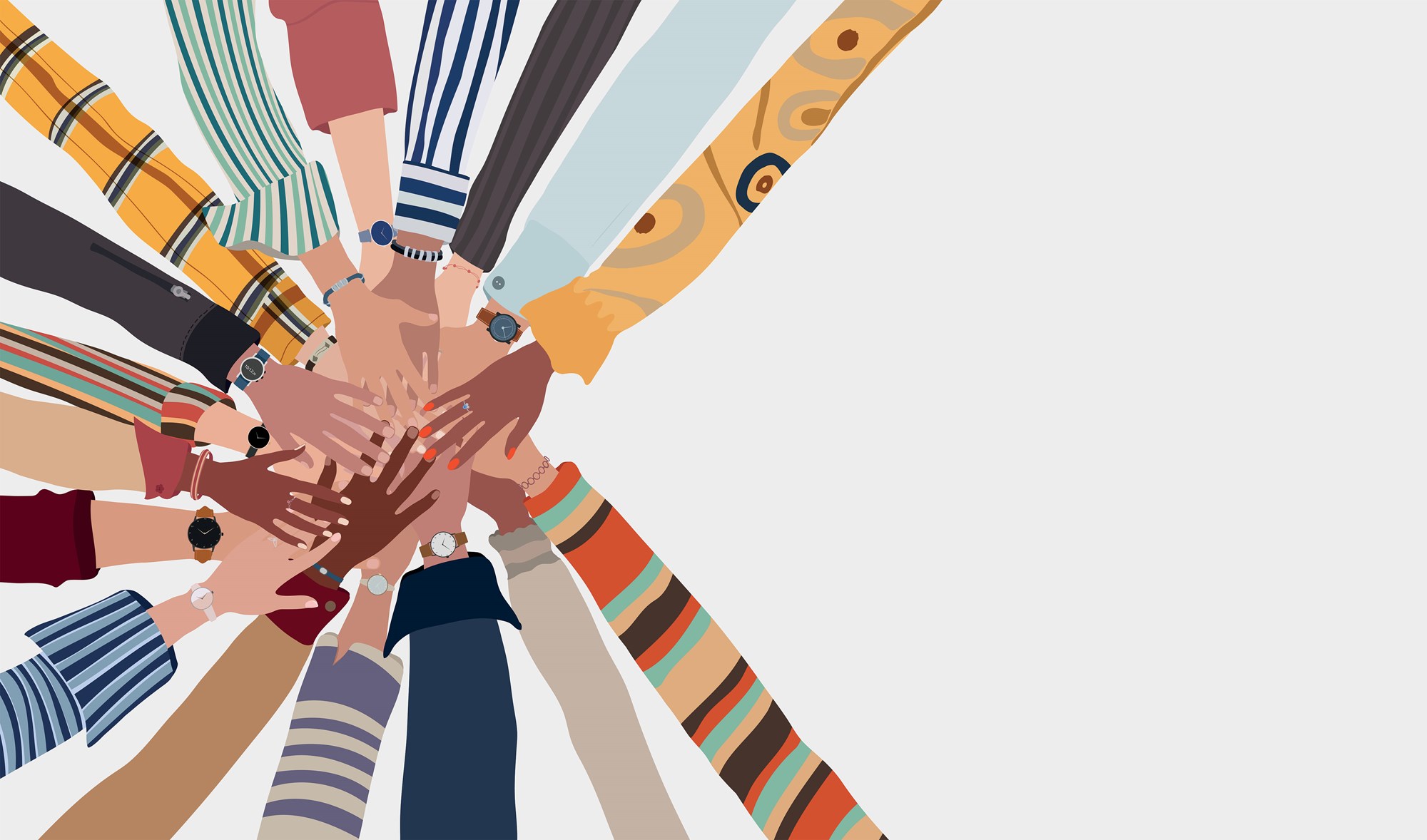 The Board/Management Relationship