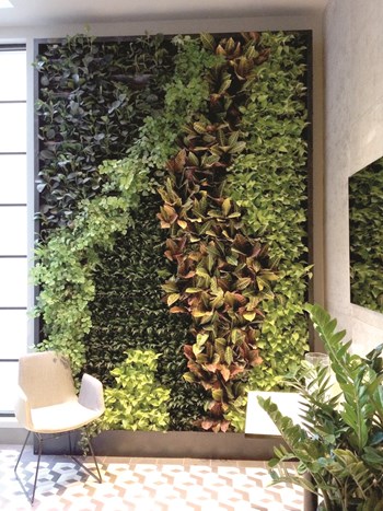 Horticultural Art in Your Lobby